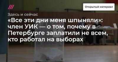 «Все эти дни меня шпыняли»: член УИК — о том, почему в Петербурге заплатили не всем, кто работал на выборах