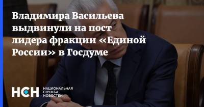 Владимира Васильева выдвинули на пост лидера фракции «Единой России» в Госдуме