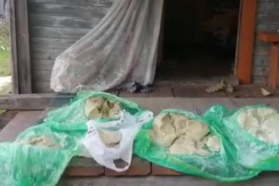 В Смоленской области полицейские «накрыли» нарколабораторию с 11 килограммами мефедрона