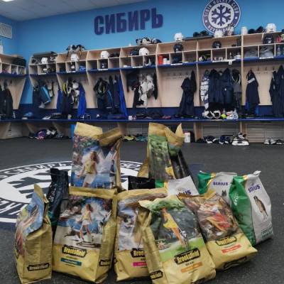 Игроки хоккейного клуба «Сибирь» подарили приюту для животных 40 кг корма