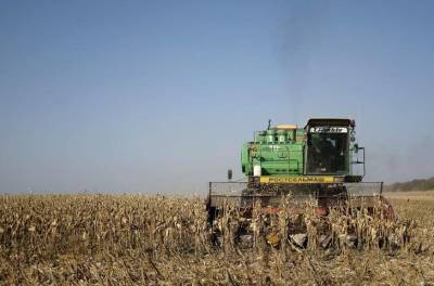 Качество пшеницы нового урожая в РФ рекордное за 20 лет -- Центр оценки качества зерна