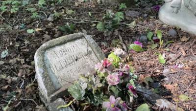 Неизвестные разгромили могилы на кладбище в Петербурге – фото