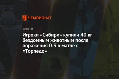 Игроки «Сибири» купили 40 кг бездомным животным после поражения 0:3 в матче с «Торпедо»