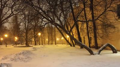Синоптик Цепелев предупредил петербуржцев о мощных снегопадах в декабре