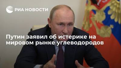 Путин назвал ситуацию на европейском энергорынке истерикой и неразберихой