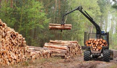 ЕС должен обеспечить контроль за импортом леса-кругляка из Украины