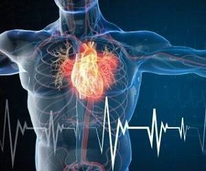 Действенное средство для профилактики инфаркта и укрепления сердца