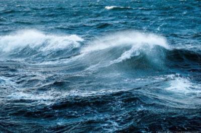 Яхта с тремя членами экипажа на борту потерпела бедствие в Приморье