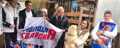 Молодогвардейцы Новосибирска помогли двум приютам для собак, организовав сбор средств