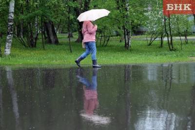На севере Коми пройдут дожди