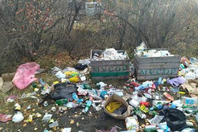 Лесники в Бурятии собрали почти тонну мусора у реки