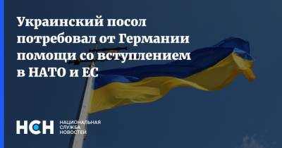 Украинский посол потребовал от Германии помощи со вступлением в НАТО и ЕС