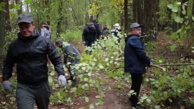 Порядка 5000 добровольцев планируют присоединиться к акции "Чистый лес" на Гродненщине