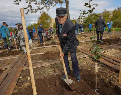 Фруктовый сад заложили в Южно-Сахалинске
