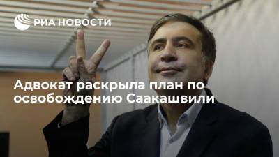 Адвокат Басилая: западные страны надавят на власти Грузии и помогут освободить Саакашвили