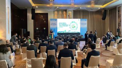 Есть огромный потенциал для финансирования сферы "зеленых технологий" Азербайджана - резидент-представитель ПРООН