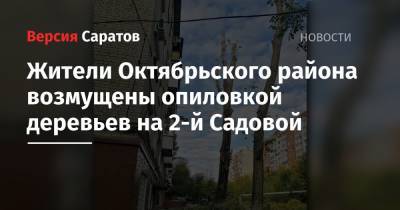 Жители Октябрьского района возмущены опиловкой деревьев на 2-й Садовой