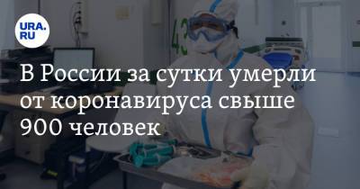 В России за сутки умерли от коронавируса свыше 900 человек