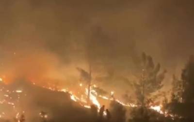 В Турции снова горят леса