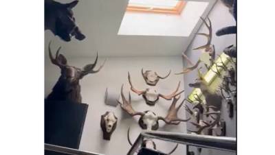 Москвич развесил отрубленные головы животных на лестничной клетке жилого дома. Видео
