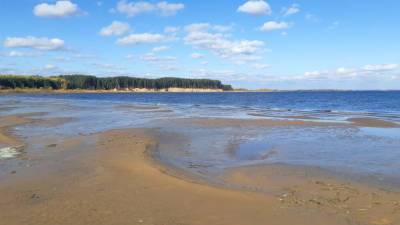 В реке Молога в Тверской области утонул мужчина