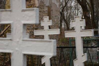 Новогородская фирма получила контракт на строительство кладбища в Пскове