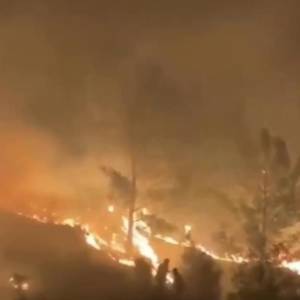 В Турции возобновились масштабные лесные пожары