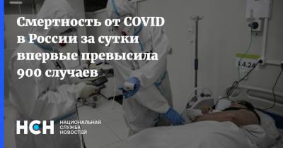 Смертность от COVID в России за сутки впервые превысила 900 случаев