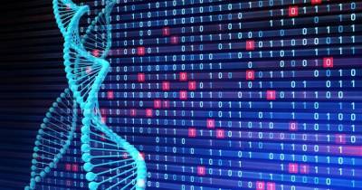Замена жестким дискам: ученые смогли записать данные в форме ДНК за считанные минуты