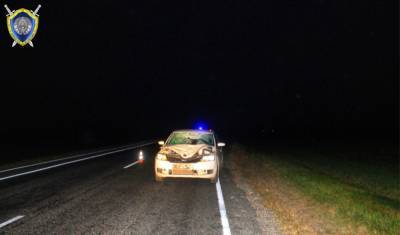 В Щучинском районе под колёсами автомобиля погиб пешеход: возбуждено уголовное дело