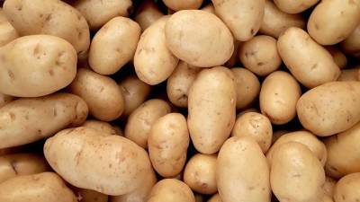 Андрей Туманов - Эксперт рассказал, как правильно выбрать картофель - vm.ru - Белоруссия