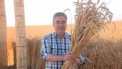 Эксперты FAO ожидают снижения урожаев пшеницы в странах ЦА из-за засухи