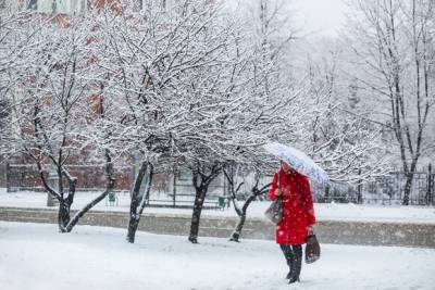 Синоптик дал прогноз на предстоящую зиму в России