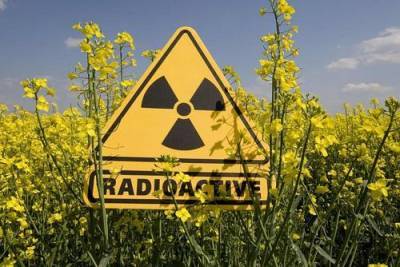 Что ввозили в Россию из-за границы поезда со знаком радиации