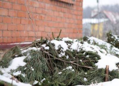 Растения на зиму лучше укрывать природными материалами – раскрываем тонкости