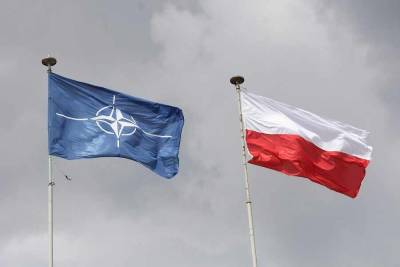 Польша призывает НАТО ударить по Калининграду в отместку за «Северный поток – 2»
