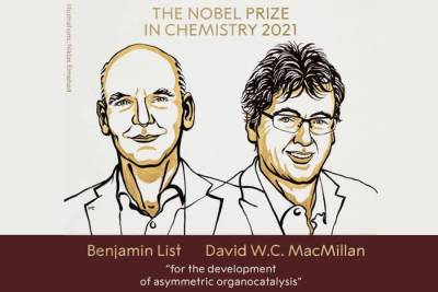 Лауреатами Нобелевской премии по химии стали ученые из ФРГ и США, изучавшие органокатализ