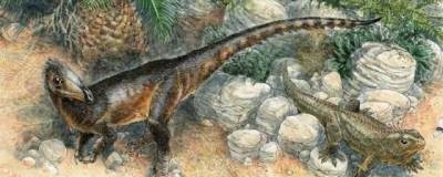 Новый вид хищного динозавра величиной с курицу обнаружен в Великобритании