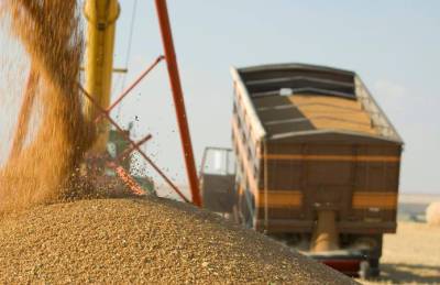Ristone Holdings наращивает объемы заготовки зерна