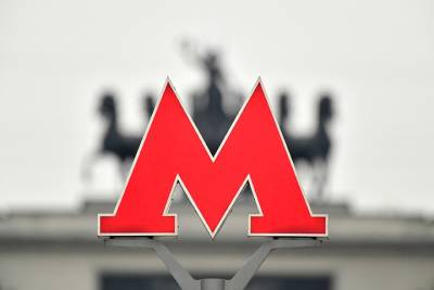 МВД задержало трех мужчин за избиение пассажира в московском метро