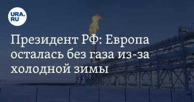 Президент РФ: Европа осталась без газа из-за холодной зимы