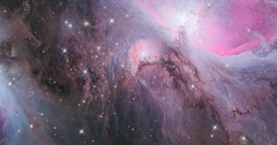 Астроном-любитель запечатлел удивительные струи пыли в Туманности Ориона
