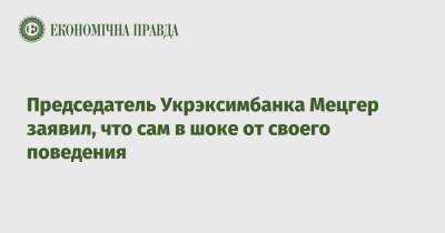 Председатель Укрэксимбанка Мецгер заявил, что сам в шоке от своего поведения