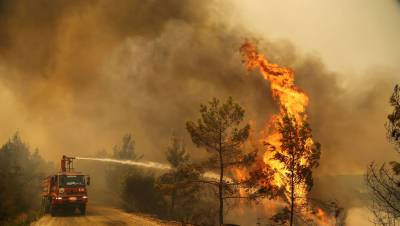 Юго-запад Турции снова охватили лесные пожары