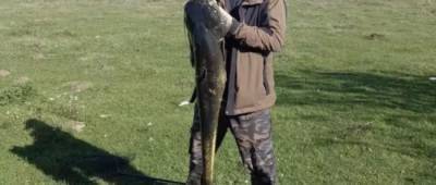 На Рівненщині рибалка спіймав 16-кілограмового сома