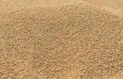 Зерновой бизнес против введения новой инструкции по учету зерна: из-за коррупции