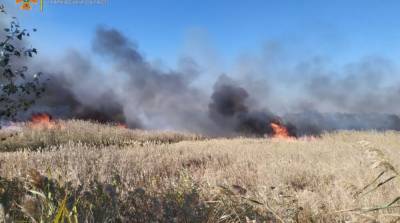 В Харьковской области вспыхнул крупный степной пожар