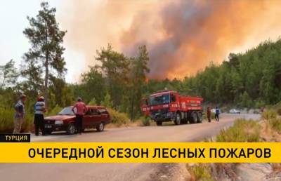 В Турции вновь вспыхнули лесные пожары