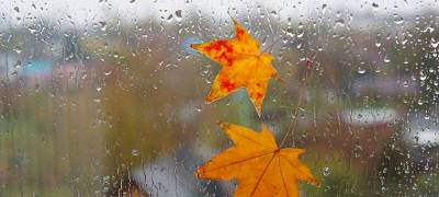 Ветер с дождем придут в Карелию 7 октября