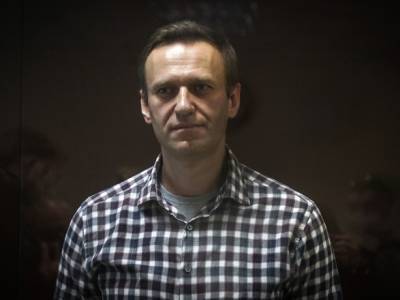 Навальный - 45 стран передали России вопросы об отравлении Навального - unn.com.ua - Россия - США - Украина - Киев - Гаага